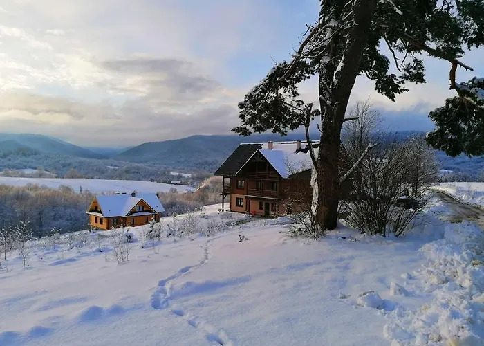 Hotel WidziMiSie Wetlina